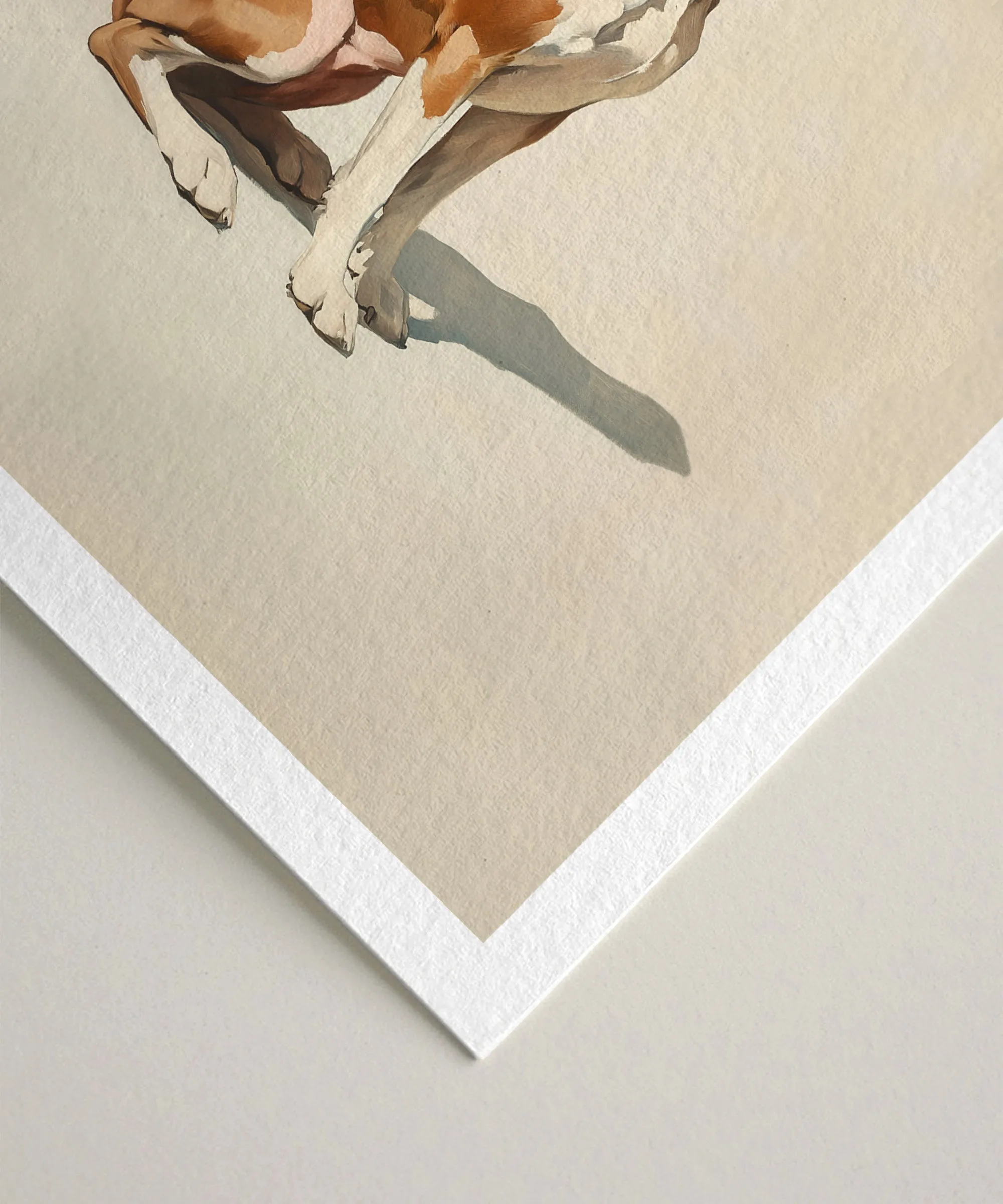 A Seated Boxer