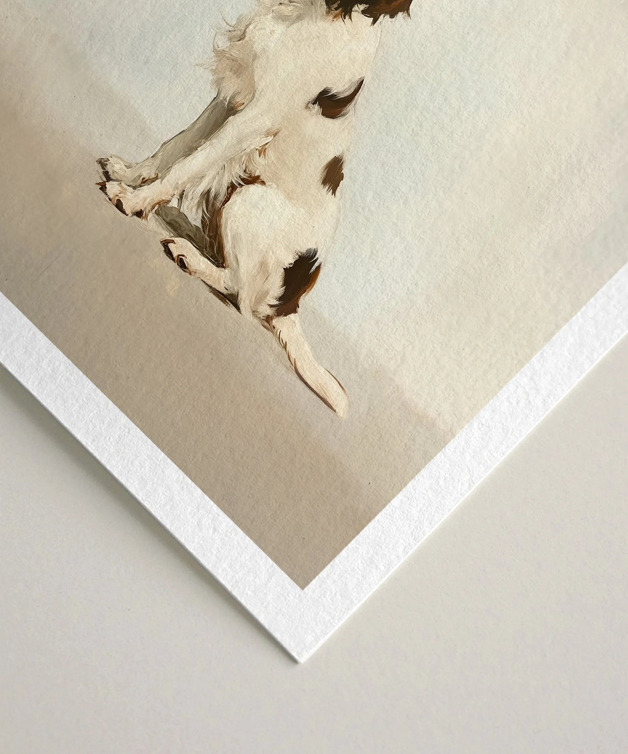 A Seated Springer Spaniel