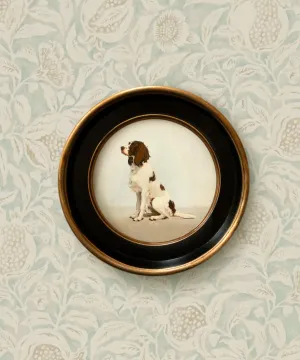 A Seated Springer Spaniel