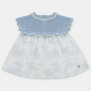 Blue Knit and Woven Toile Dress