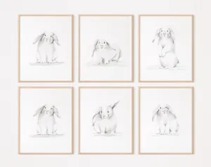 Bunnies Sketch Art Prints - Set of 6