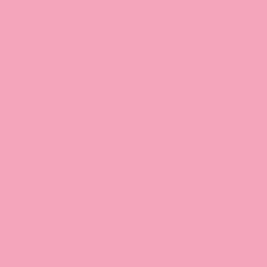 CICLORAMA Carnation #17  DE PAPEL 2.72m x 11m