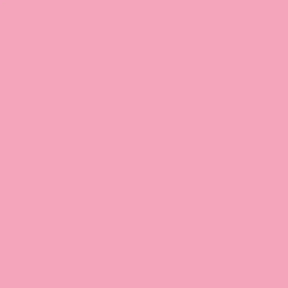 CICLORAMA Carnation #17  DE PAPEL 2.72m x 11m