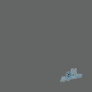 CICLORAMA Thunder Gray #57 DE PAPEL 2.72m x 11m