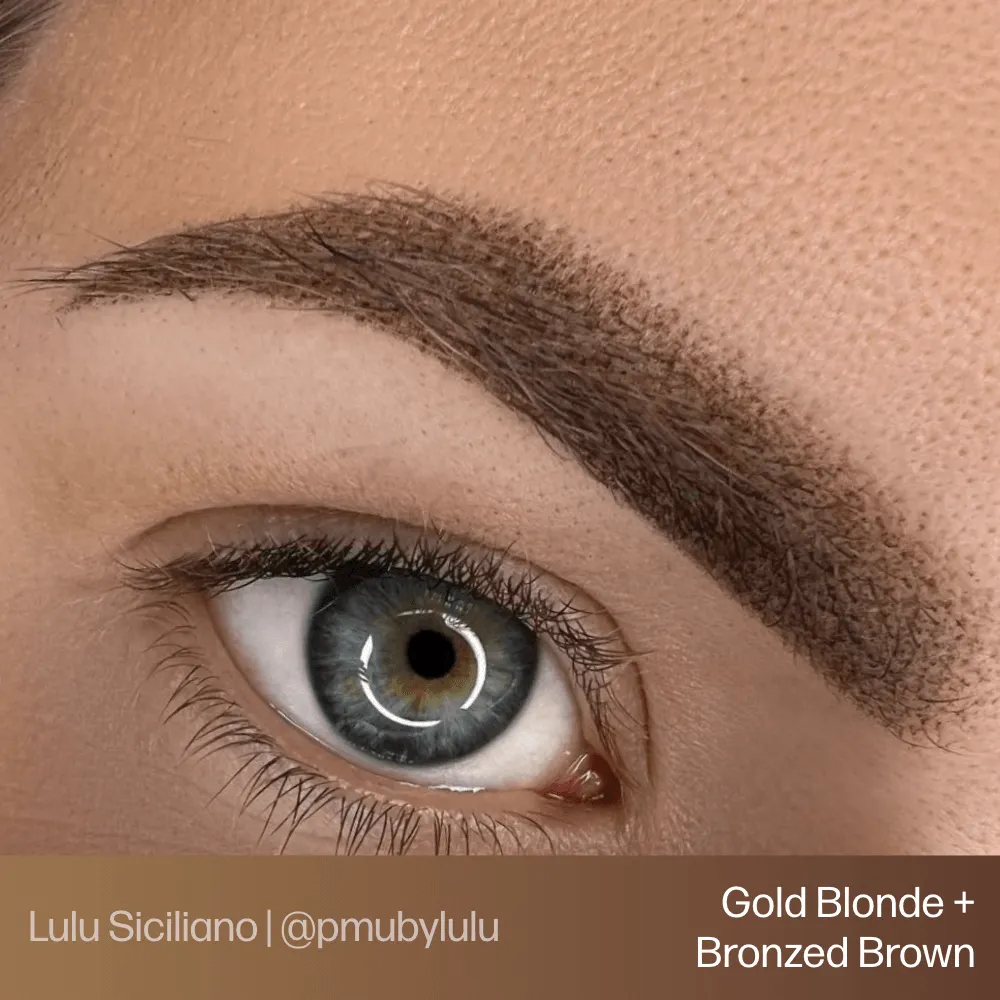 Evenflo Blonde 2 Brunette