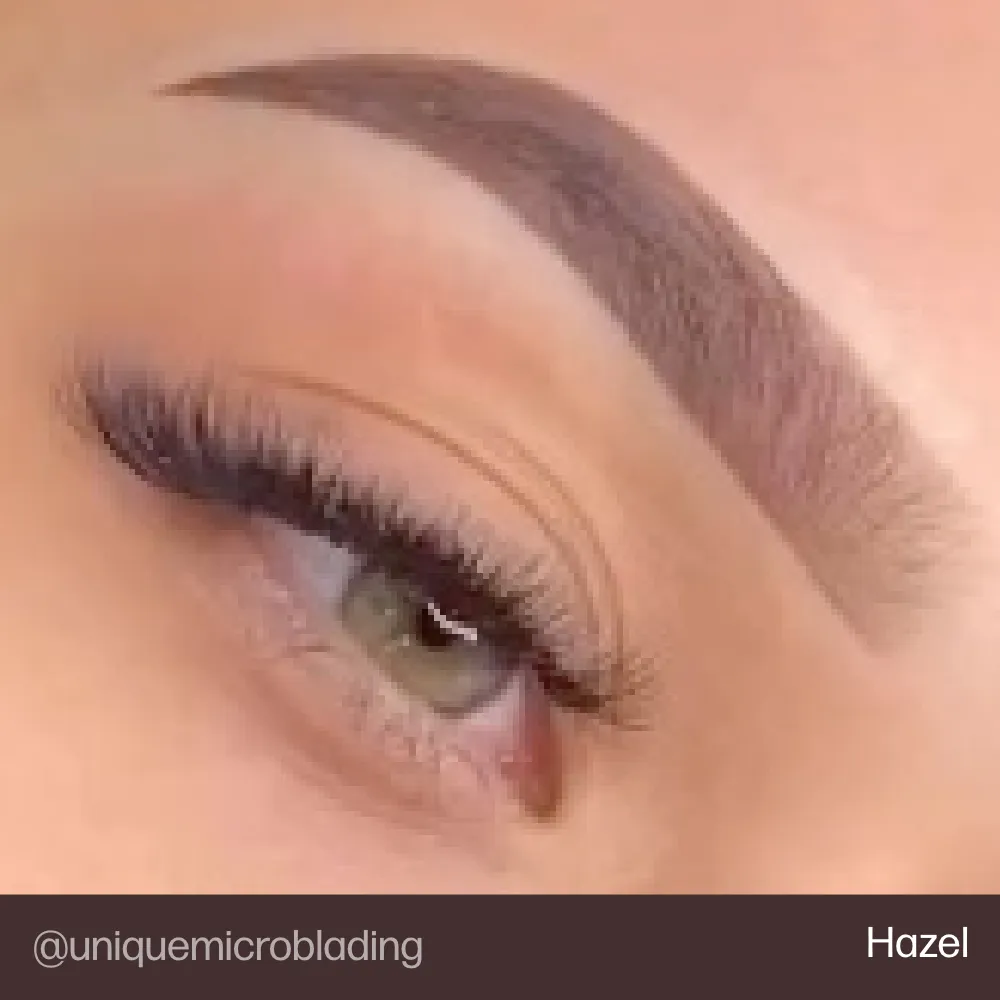 Evenflo Brow Set