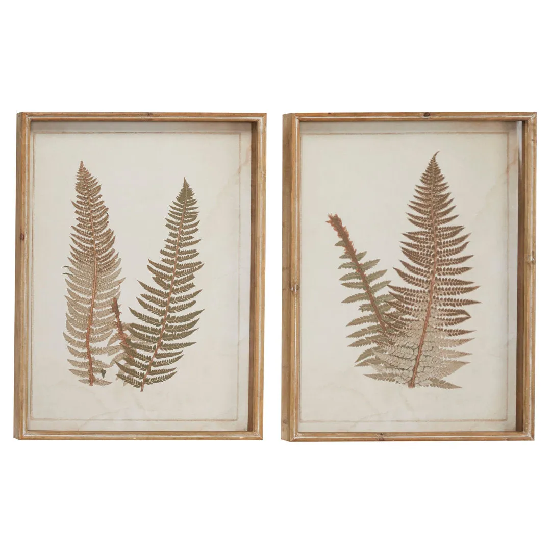 Large Vintage Fern Illustrations - 2 Piece Picture Frame Graphic Art Set on Wood Sand & Stable™
