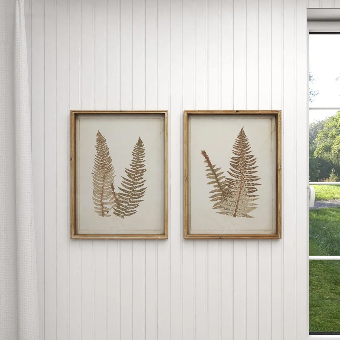Large Vintage Fern Illustrations - 2 Piece Picture Frame Graphic Art Set on Wood Sand & Stable™