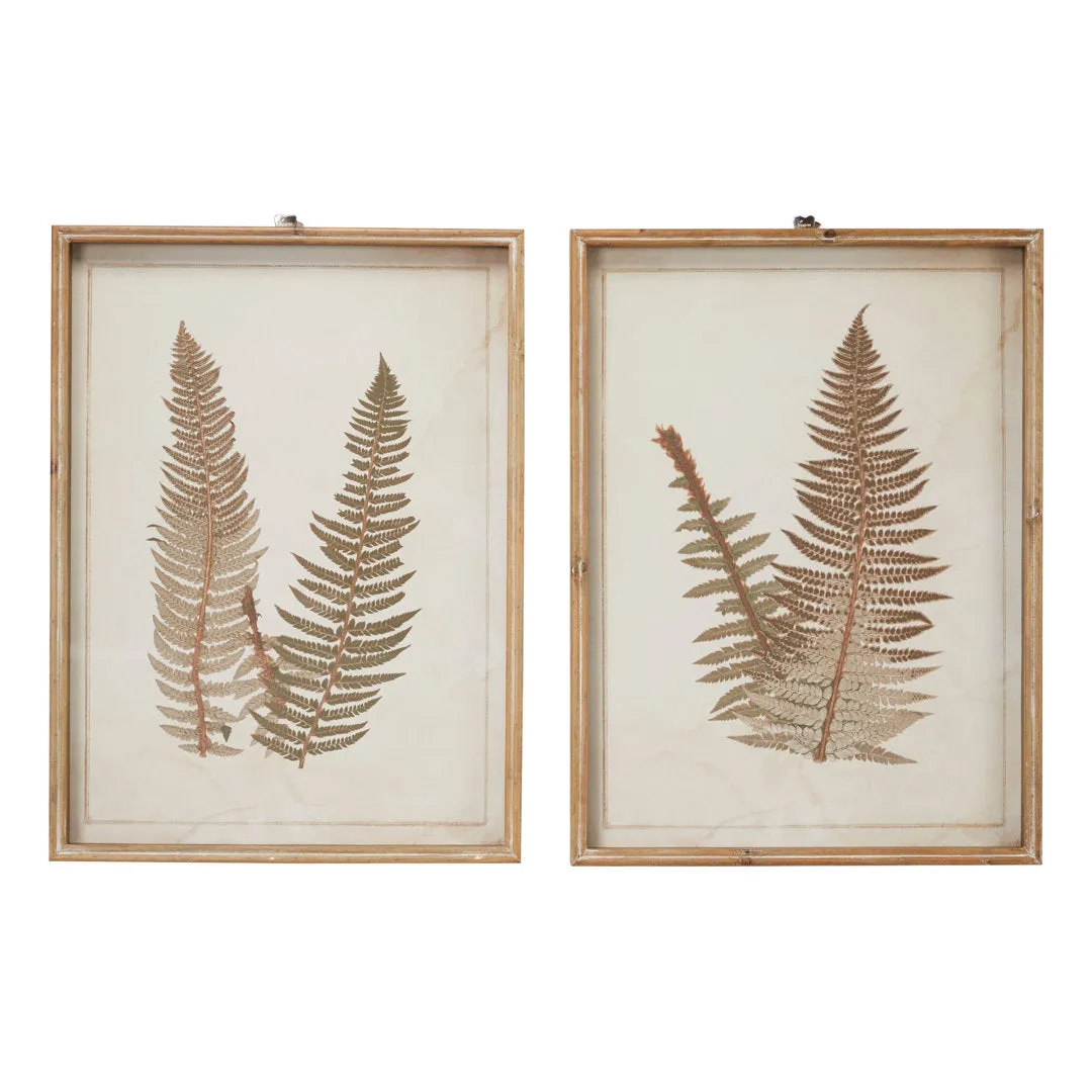 Large Vintage Fern Illustrations - 2 Piece Picture Frame Graphic Art Set on Wood Sand & Stable™