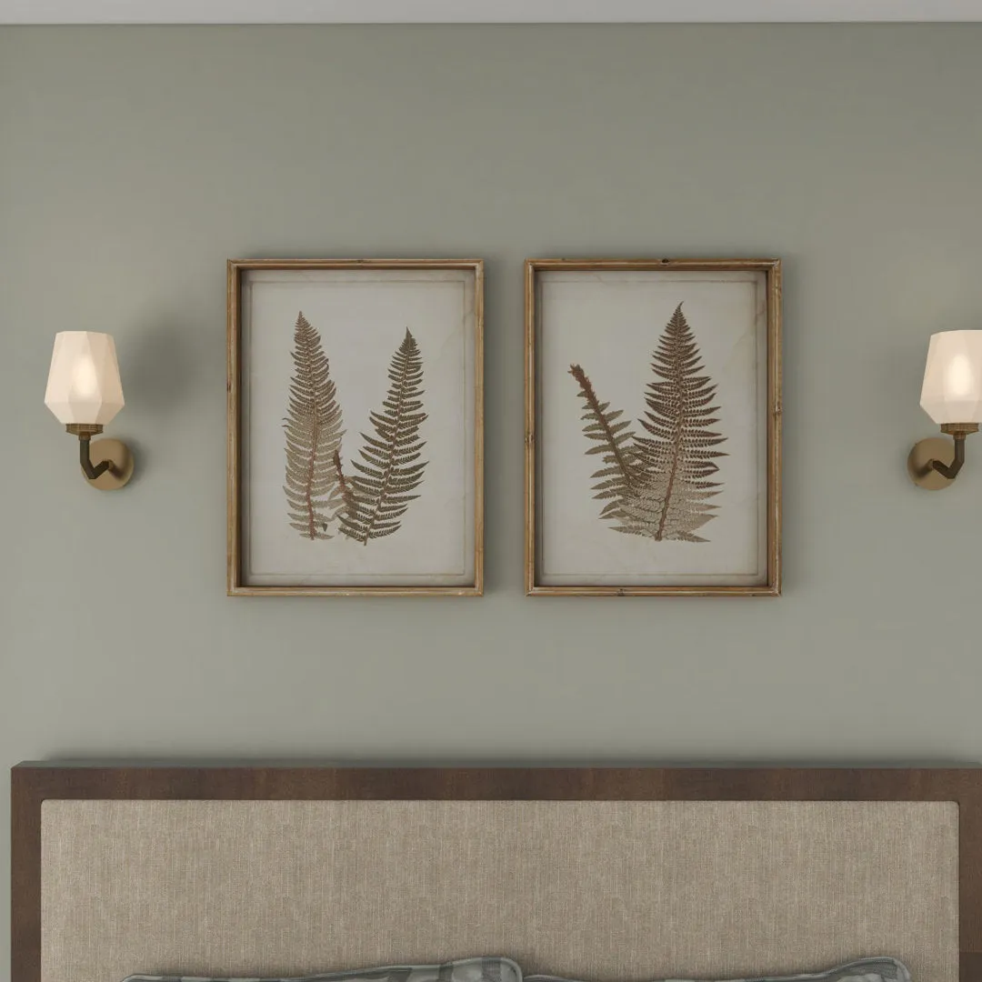 Large Vintage Fern Illustrations - 2 Piece Picture Frame Graphic Art Set on Wood Sand & Stable™
