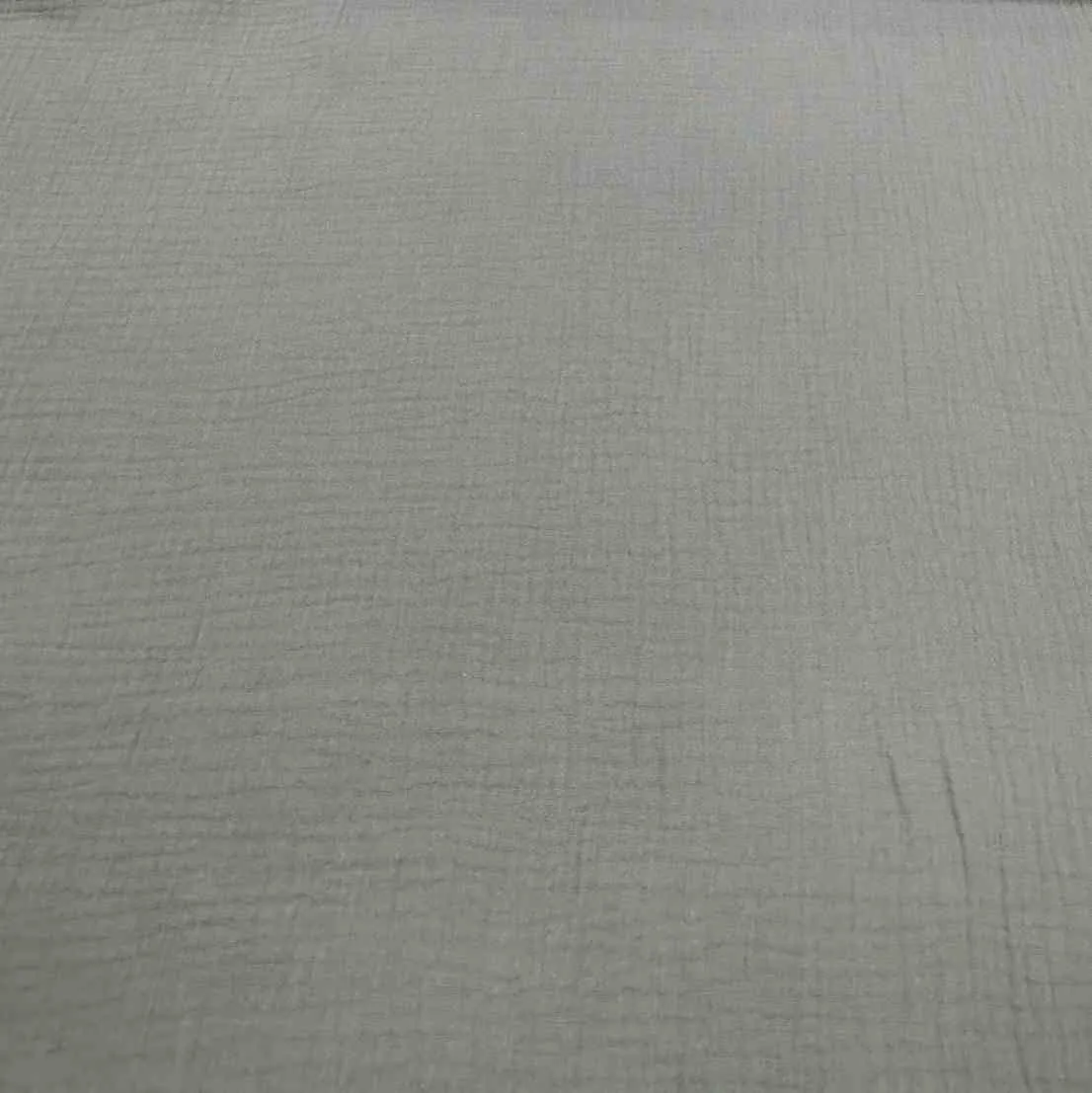 Organic Cotton Double Gauze, Cactus