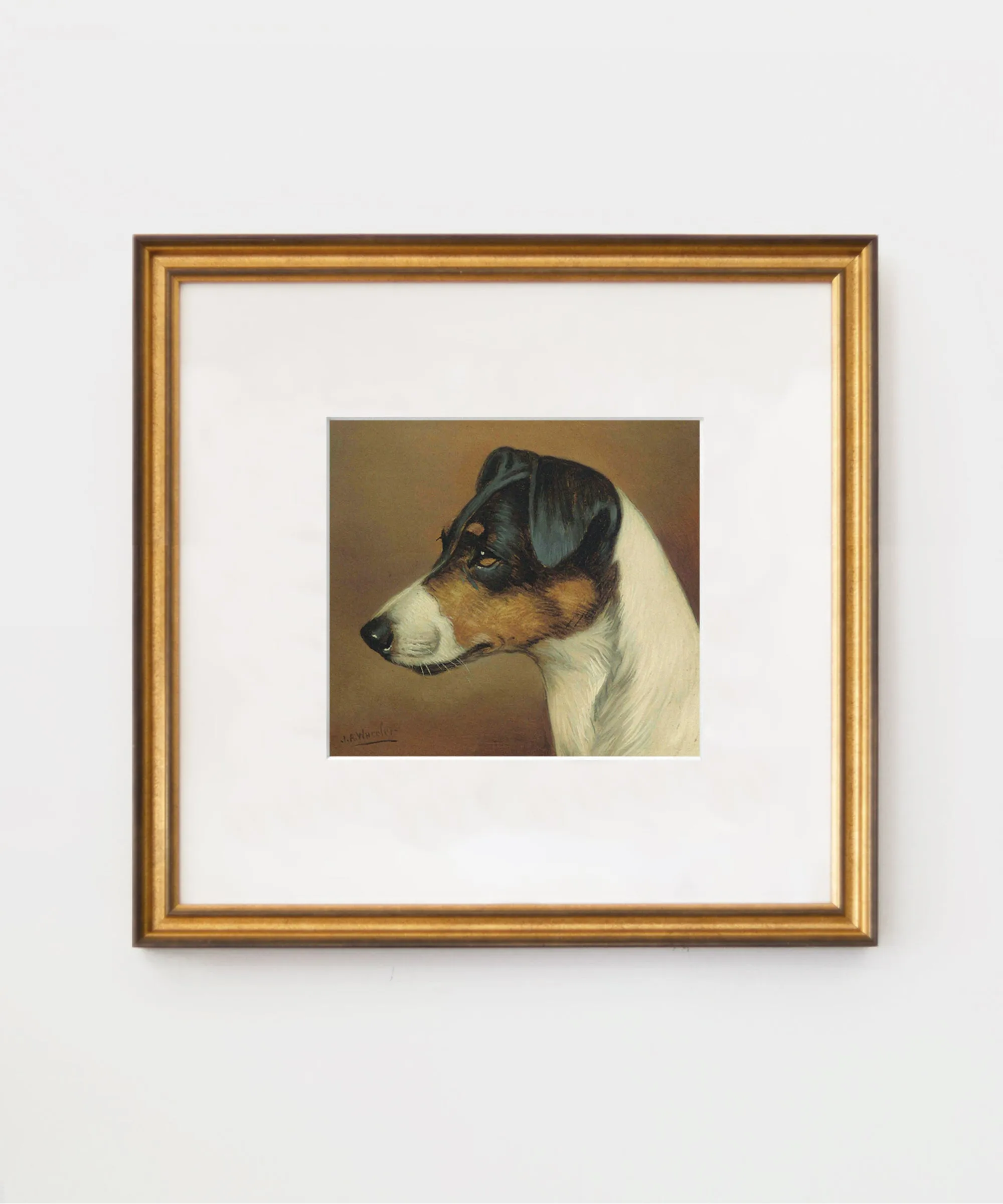 Set of Two Jack Russell Prints