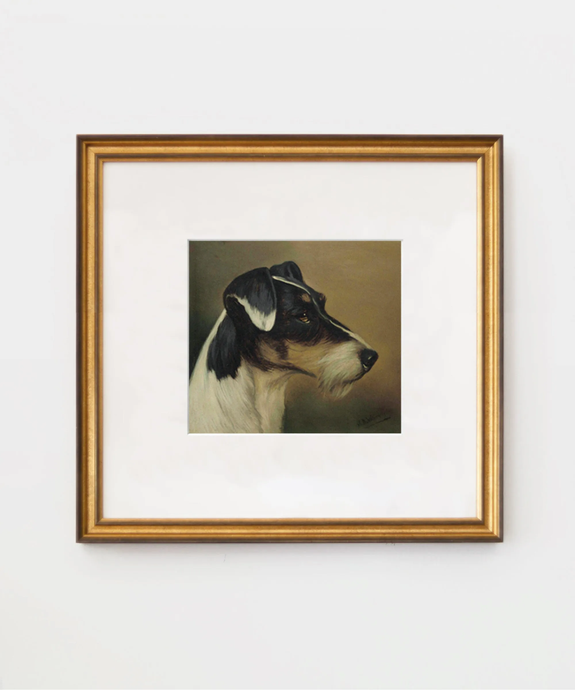 Set of Two Jack Russell Prints
